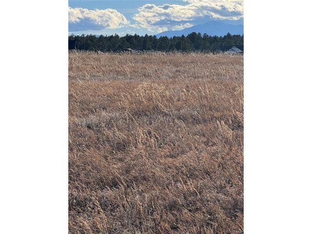 11691 Rambling Rd, Colorado Springs, CO 80908