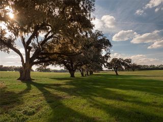 12894 NW GAINESVILLE ROAD, Reddick, FL 32686