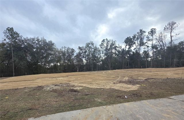 525 SW BELLFLOWER DRIVE, Lake City, FL 32024