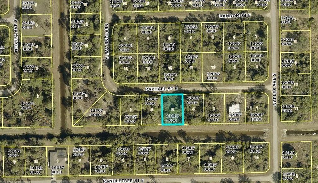 1238 RAPHAEL ST E, Lehigh Acres, FL 33974