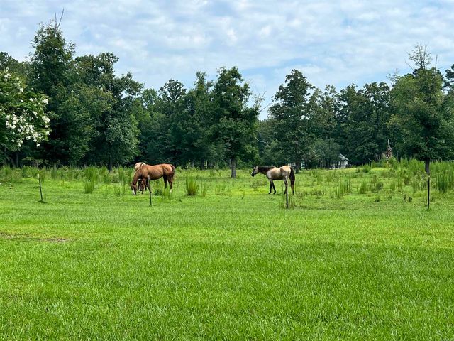 2482 Cane Creek Road, Star City, AR 71667