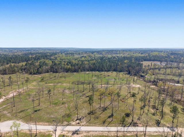 Lot 7 Johnson Drive, Livingston, TX 77351