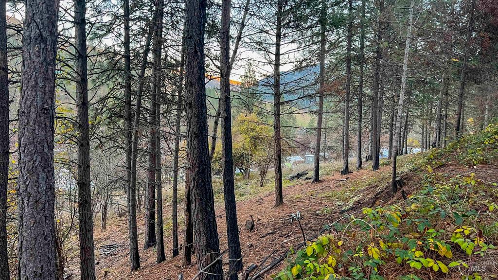 TBD May St Blk 56, Lot 6, Peck, ID 83545 photo 9