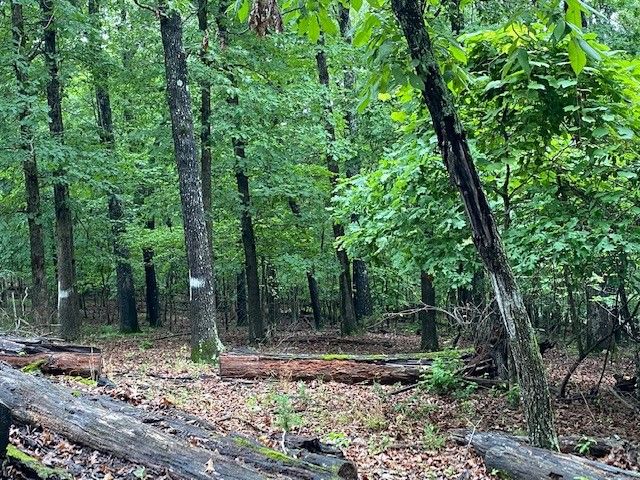 Lot 5 Lakeview Drive, Bull Shoals, AR 72619