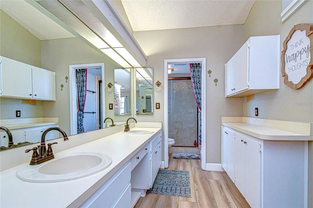 1617 SHADY LEAF DRIVE, Valrico, FL 33596