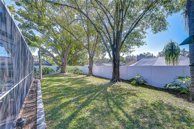 1617 SHADY LEAF DRIVE, Valrico, FL 33596