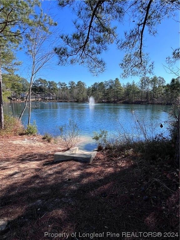 97 New Castle Lane, Spring Lake, NC 28390 — photo 3