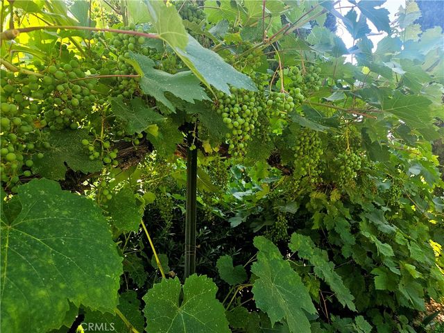 1631 Salem St, Chico, CA 95928