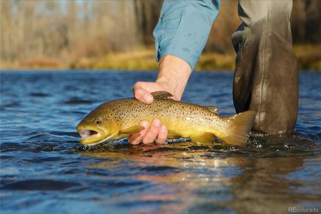 52326 US Highway 40, Hot Sulphur Springs, CO 80451