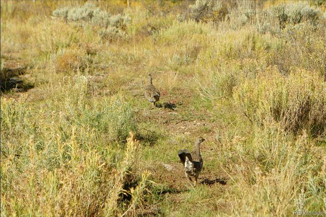 52326 US Highway 40, Hot Sulphur Springs, CO 80451