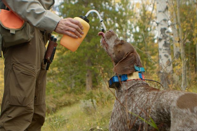 52326 US Highway 40, Hot Sulphur Springs, CO 80451