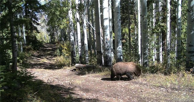 52326 US Highway 40, Hot Sulphur Springs, CO 80451