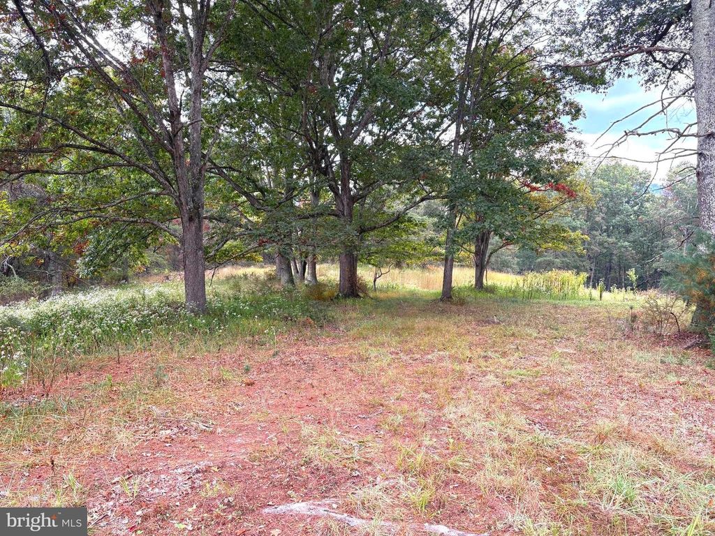36.02 AC PARKER HOLLOW RD, Lost River, WV 26810