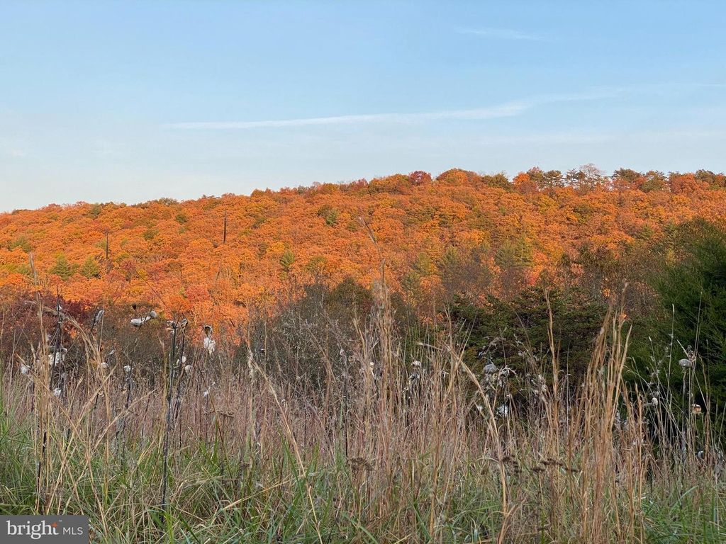 36.02 AC PARKER HOLLOW RD, Lost River, WV 26810