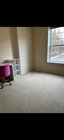 435 W Wood Street 205A, Palatine, IL 60067