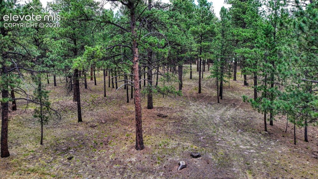 9950 Pine Park Trail, Colorado Springs, CO 80908 — photo 5