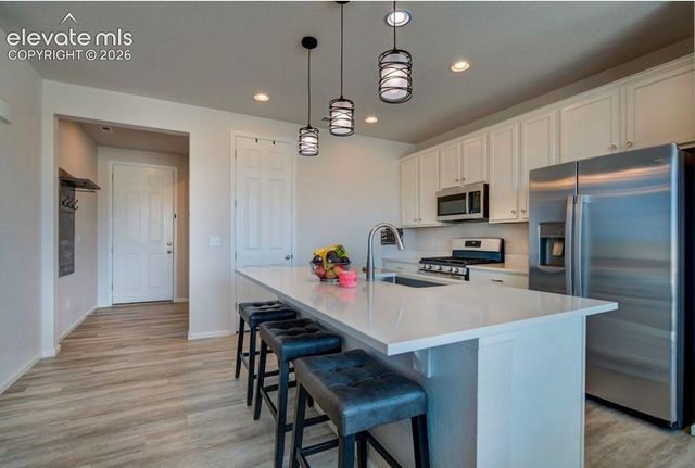 8262 Buffalo Horn Drive, Colorado Springs, CO 80925