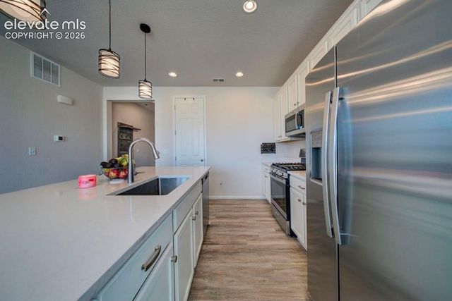 8262 Buffalo Horn Drive, Colorado Springs, CO 80925