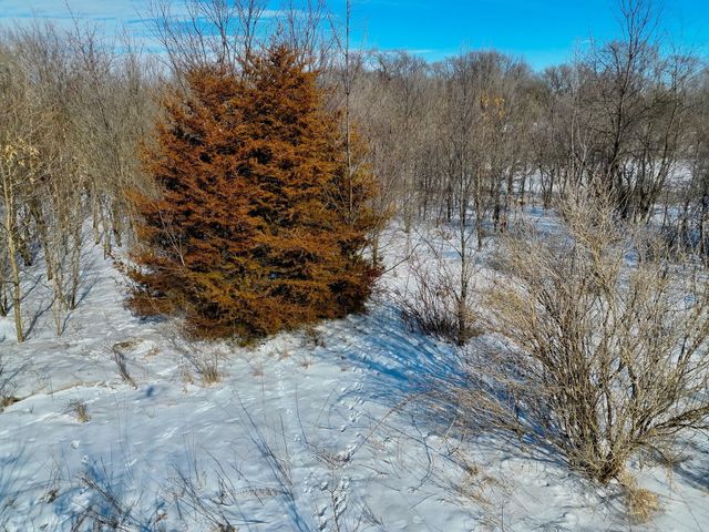 87387 245th Street, Albert Lea, MN 56007