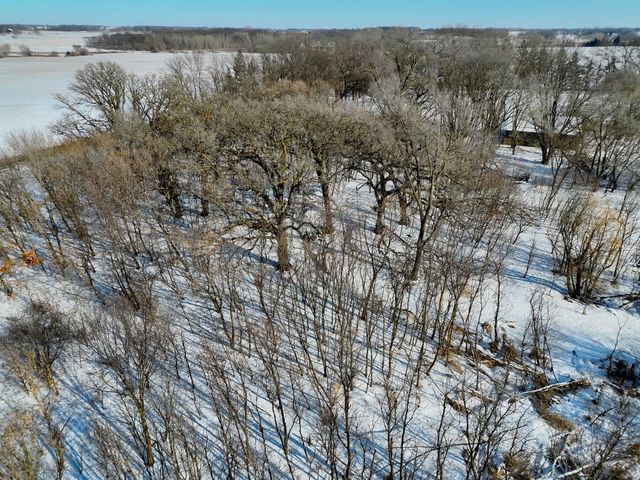 87387 245th Street, Albert Lea, MN 56007