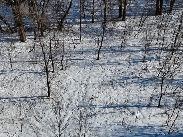 87387 245th Street, Albert Lea, MN 56007