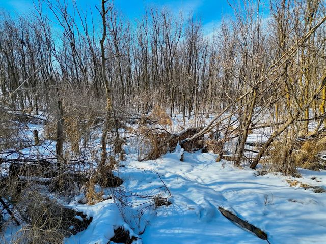 87387 245th Street, Albert Lea, MN 56007