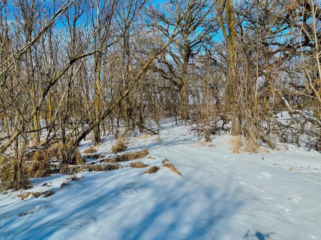 87387 245th Street, Albert Lea, MN 56007