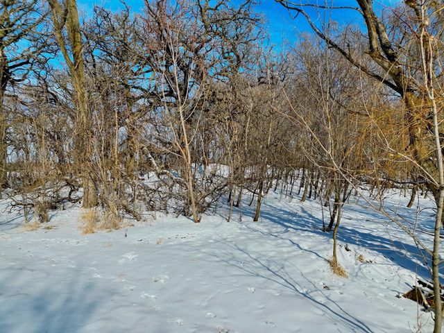 87387 245th Street, Albert Lea, MN 56007