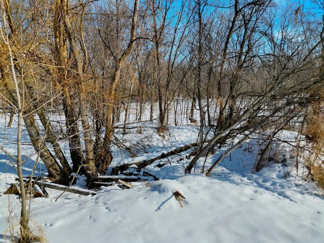 87387 245th Street, Albert Lea, MN 56007