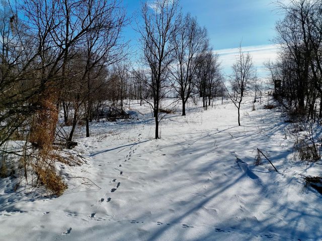 87387 245th Street, Albert Lea, MN 56007