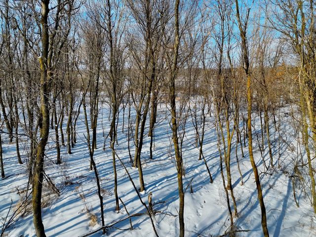 87387 245th Street, Albert Lea, MN 56007