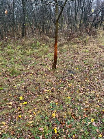 87387 245th Street, Albert Lea, MN 56007