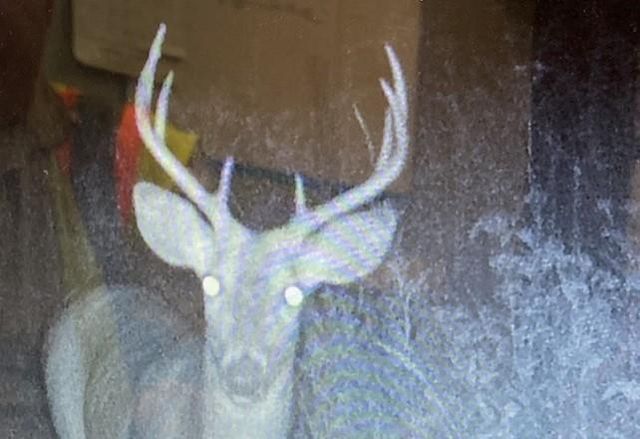 87387 245th Street, Albert Lea, MN 56007