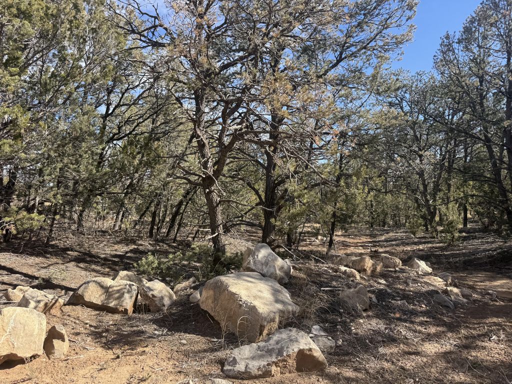 Image 10 of property listing at 2 Jesse James Road, Edgewood, NM 87015