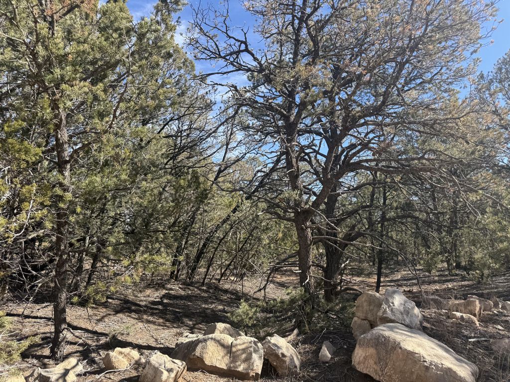 Image 11 of property listing at 2 Jesse James Road, Edgewood, NM 87015