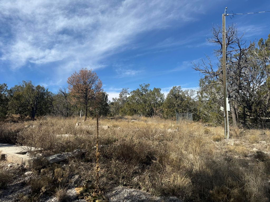 Image 13 of property listing at 2 Jesse James Road, Edgewood, NM 87015