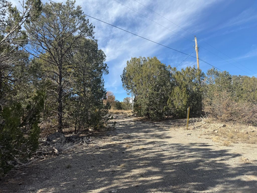 Image 14 of property listing at 2 Jesse James Road, Edgewood, NM 87015