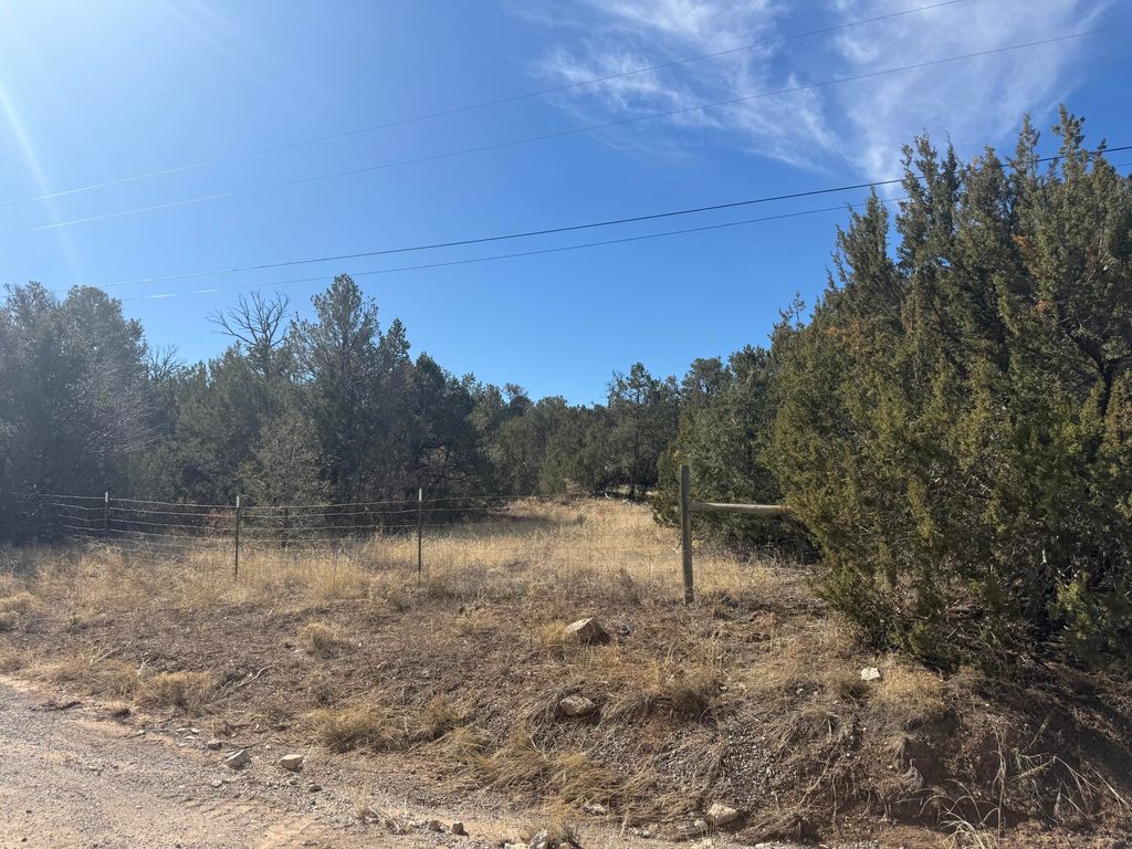 Image 16 of property listing at 2 Jesse James Road, Edgewood, NM 87015