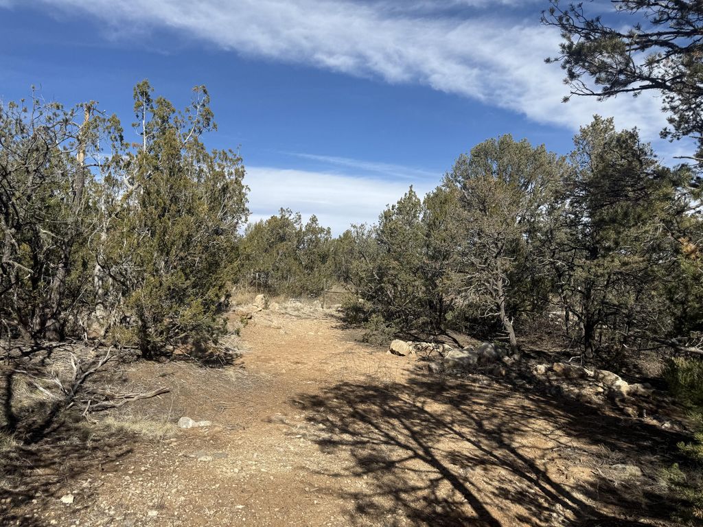 Image 9 of property listing at 2 Jesse James Road, Edgewood, NM 87015