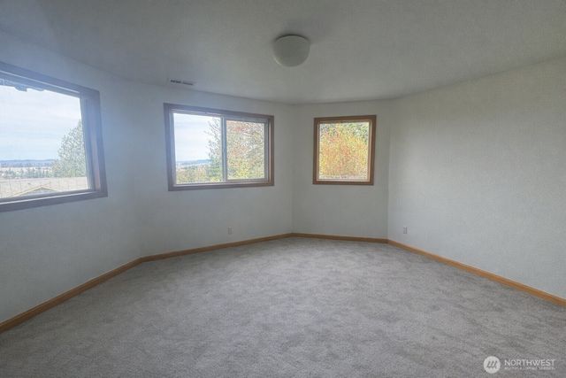 17290 Soundview Road, Mount Vernon, WA 98274