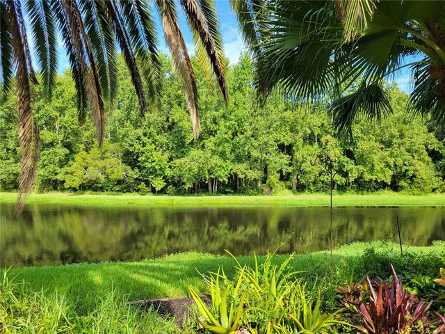 3623 GOLDEN EAGLE DRIVE, Land O Lakes, FL 34639