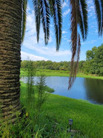 3623 GOLDEN EAGLE DRIVE, Land O Lakes, FL 34639