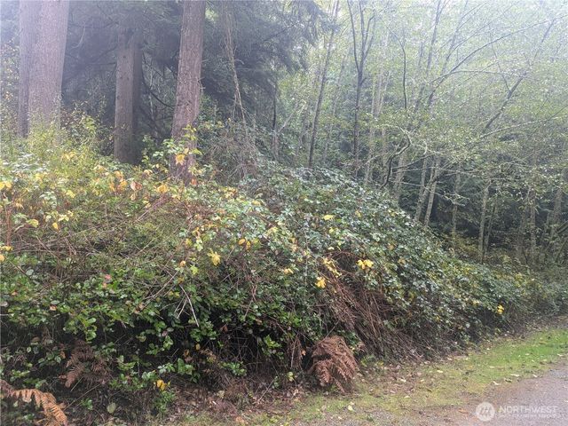 0 XXX Jewett Road, Clinton, WA 98236