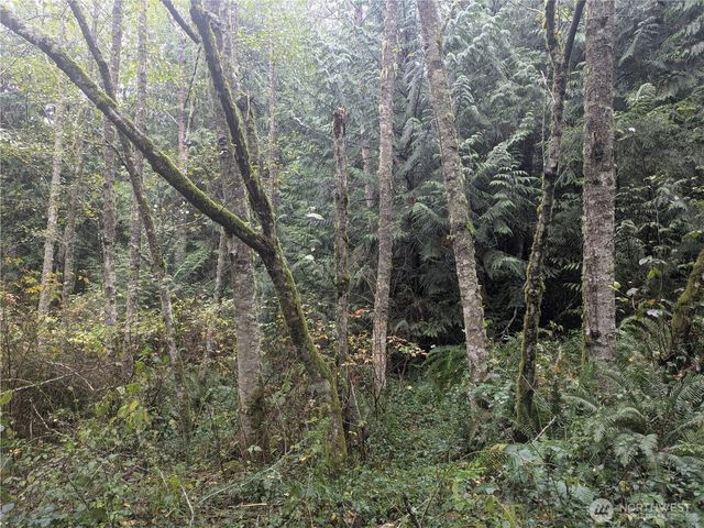 0 XXX Jewett Road, Clinton, WA 98236