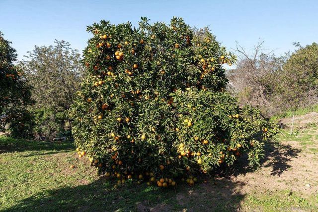 2820 Highlands Blvd, Spring Valley, CA 91977