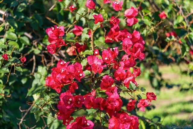 2820 Highlands Blvd, Spring Valley, CA 91977