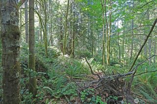 20825 Old Mill Road SW, Vashon, WA 98070