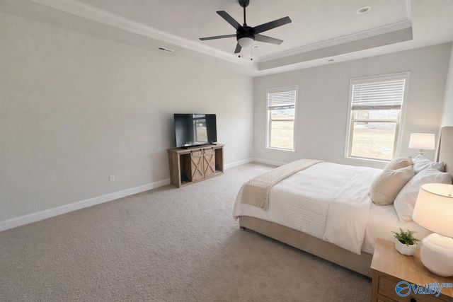 207 Nellie Faye Lane, Meridianville, AL 35759