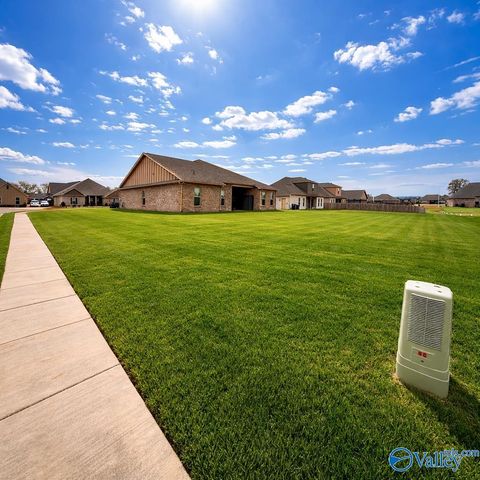 207 Nellie Faye Lane, Meridianville, AL 35759