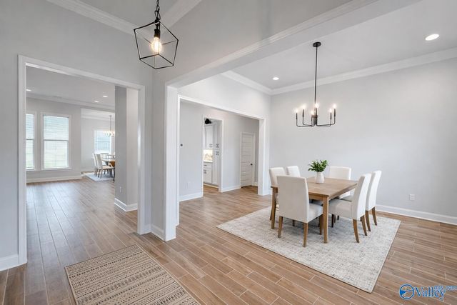 207 Nellie Faye Lane, Meridianville, AL 35759